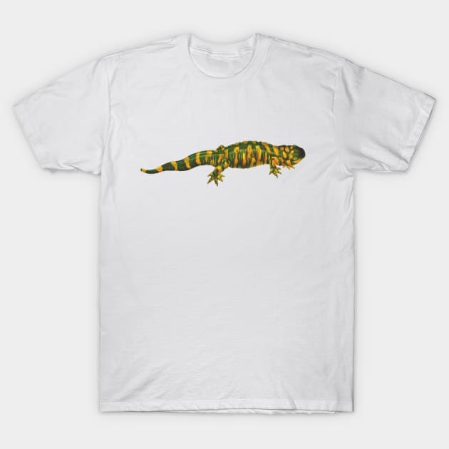 reptile skeptical T-Shirt by vabontchi